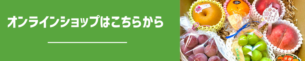 オンラインショップはこちら